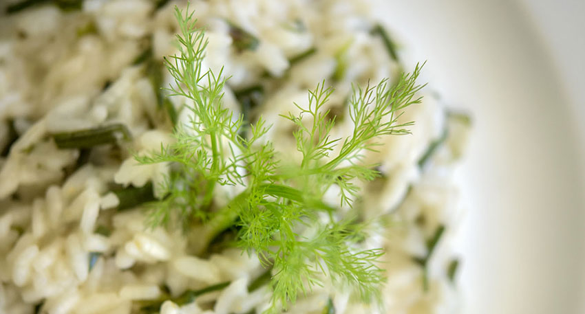 Risotto aux fines herbes printanières
